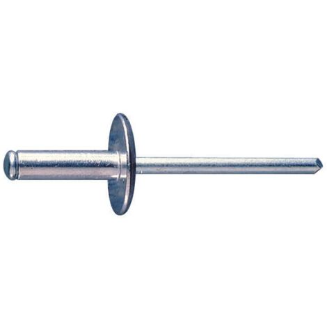Index RECA4818-Chiodo a testa larga alluminio 4,8 x 18 Ud. (Confezione da 200)