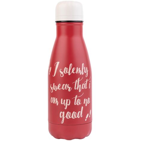 Grupo Erik: Bottiglia termica Harry Potter  Borraccia termica 260 ml, doppia parete in acciaio inox, chiusura ermetica, BPA free, Thermos Harry Potter, Regalo Harry Potter (1/4)