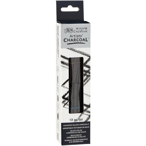 Winsor & Newton Assortimento 12 Fusaggini