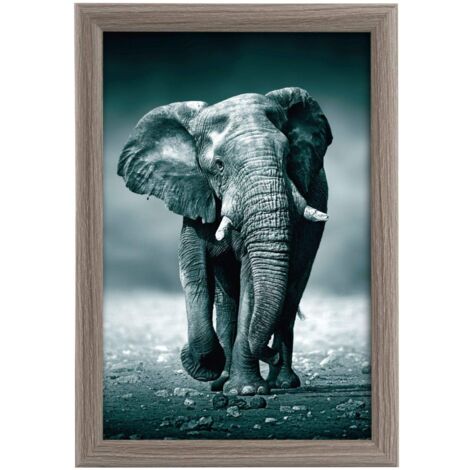 goldbuch 92 0745 Toscana - Cornice portafoto in legno MDF, per foto in formato 20 x 30 cm, con supporto da tavolo e montaggio a parete, colore: grigio (1/4)