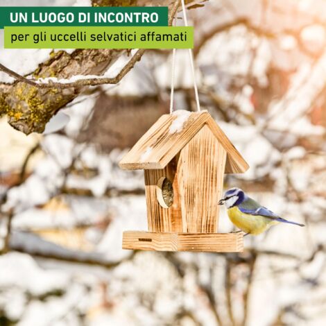 Windhager Cassetta Nido Wildkogel Per Cince – Foro 28mm, Tetto Rimovibile, Legno Di Betulla, Casetta Per Uccelli Da Appendere - 6