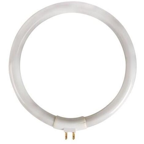 Tubo fluorescente circolare 12W/T4 per VTLAMP10