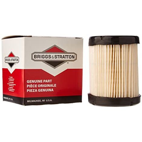 Filtro dell’aria originale 591583 Briggs & Stratton