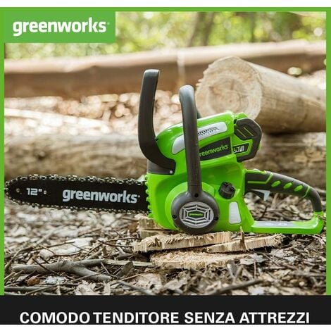 Greenworks G40CS30 Motosega a Batteria, Lunghezza Barra 30cm, Velocità  Catena 4,2m/s, 3,7kg, Auto