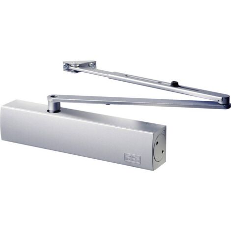 BURG WÄCHTER Chiudiporta TS 4000 V S, Lega di Acciaio, Argento, One Size