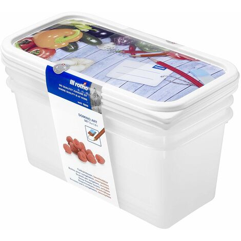 Rotho 1755410237 Contenitori da freezer Domino – Scatole salva aroma con etichetta sul coperchio – Set di 3 contenitori per alimenti privi di BPA – Lavabili in lavastoviglie – Capienza per contenitore (1/3)