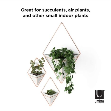 Set di 3 vasi in ceramica smaltata per cactus e mini bonsai, per decorare la casa e l'ufficio (piante non incluse) | Leroy Merlin
