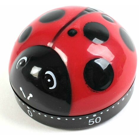 Timer Kitchen Timer Coccinella - Kikkerland - Idee regalo