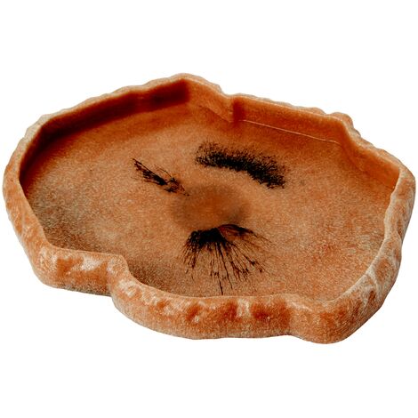 Zoomed T6016140 Repti Rock Mangiatoia