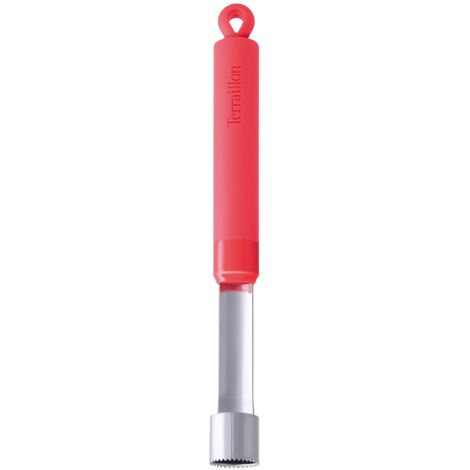 Terraillon Access Utensili da Cucina, Uso Professionale e Domestico, Anello di Sospensione, Express Your Capo, Silicone, Agrumi, Silicone, Agrumes, 22 x 2,2000000000000002 x 2 cm (1/3)