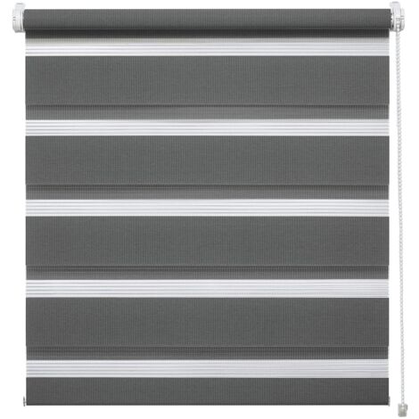 Deco Company Tenda a Rullo Doppia a Incastro, Con Catenella Laterale e Installabile Senza Forare, Bande Trasparenti e Opache, Materiale di Montaggio Incluso, Poliestere, Antracite, 100 x 150 cm