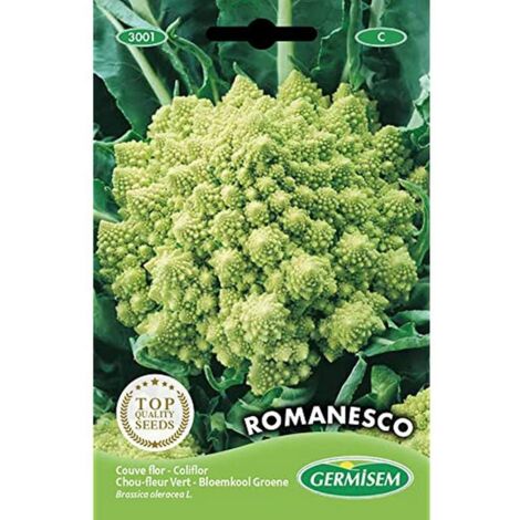 500 Semi Di Pomodoro Pantano Romanesco – Sementi Ortaggi Da Coltivare, Hortus
