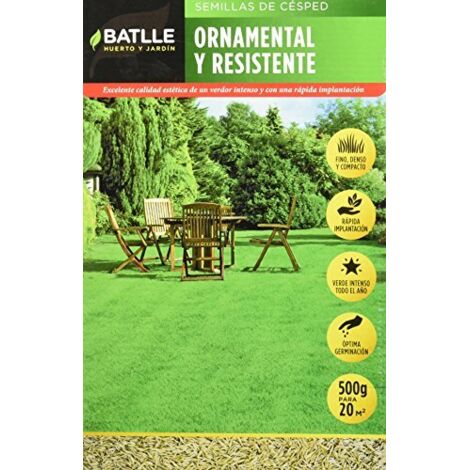Semillas Batlle Prato ornamentali e resistente (1/4)