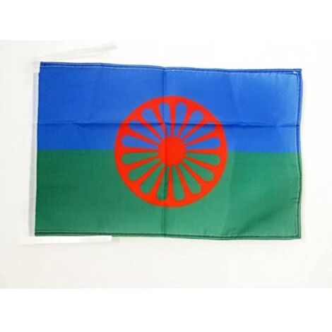 Bandiera Palestina 45x30 Cm - In Poliestere Con Cordicelle - Per Interni Ed Esterni - AZ FLAG