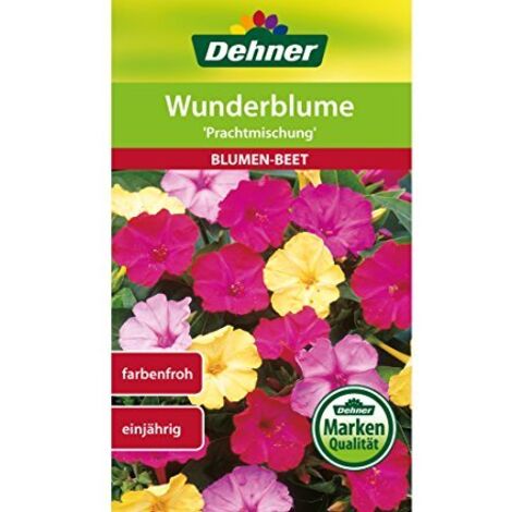 Miscela Di Semi Per Canarini Riga - Confezione Da 3 Kg, Alimento Completo Per Uccelli - Foto 4