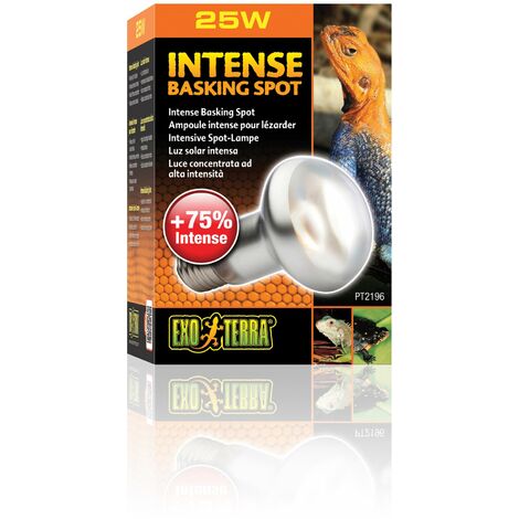 Exo Terra Bombilla Halógeno Intense Basking Spot PT2196 25 W, 1 unità (Confezione da 1)