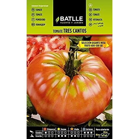 Semillas Batlle Semi di Pomodoro (1/3)
