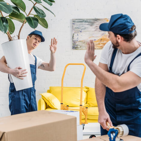 Carrello Portapacchi Saliscale Relaxdays - Capacità 150 Kg, Ruote A Stella, Pieghevole, Verde - Foto 10