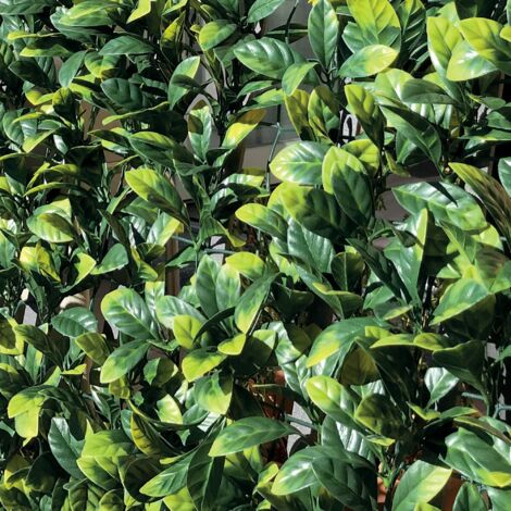 TENAX Divy 3D Plus Laurus, Siepe Sintetica 1,50x3m Foglie Tipo Lauro su Rete di Plastica