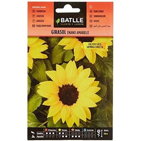 Battle- Semi di Fiori, Girasole Nano Giallo (1/4)
