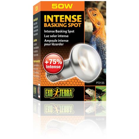Exo Terra Lampada spot intensa, 50 W