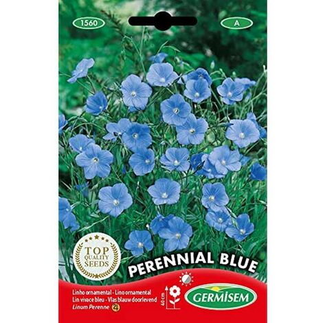Germisem Perennial Blue Semi di Biancheria 1.5 g