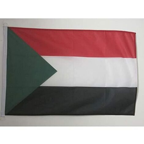 Bandiera Palestina 90x60 Cm - Tessuto Poliestere, Cuciture Rinforzate - AZ FLAG - Foto 11