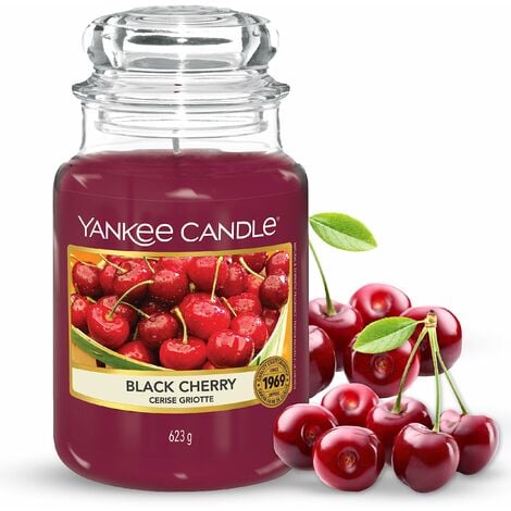 Yankee Candle Set regalo, 18 tea light profumate e 1 supporto per tea  light in una confezione regalo natalizia