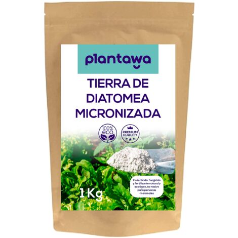 PLANTAWA Terra di Diatomee 1kg Diatomee Polvere 100% Naturale di Alta Qualità Perfetta per Molteplici Applicazioni in Casa e Giardino Senza Trattamenti Chimici Senza Additivi.
