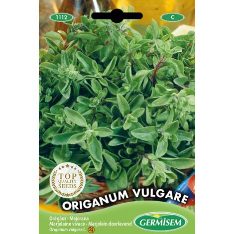 Germisem Origanum Vulgare Semi di Poiree 1 g