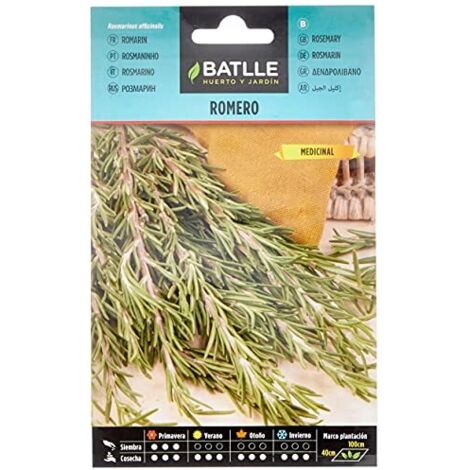 Semi di erba di Batlle - rosmarino (semi - 10-20 cm) (1/4)