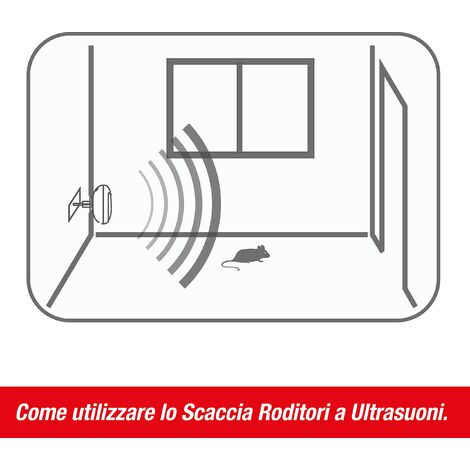 SWISSINNO Mini Scaccia Roditori Ultrasuoni 15 m² per presa 230VAC: Scaccia  topi, ratti, martore e altri roditori con potenti ultrasuoni, per uso  interno. x1 : : Giardino e giardinaggio