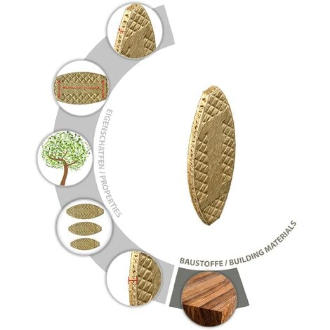 TOX assortimento di tasselli piatti Biscuit Wood dimensioni P0, P10, P20 in  legno di faggio per