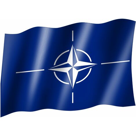 Bandiera Della Moldova Con Stemma Di Silhouette Vettoriale Isolato Su Bianco Fondo Dettagliato Sulla Mappa Nazionale Del Simbolo Image252880728