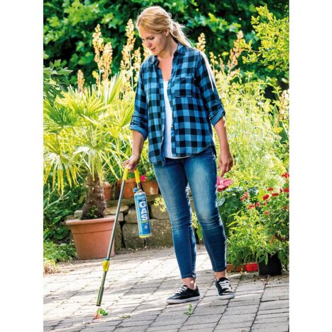 Gloria 1.000 °C Thermo Flamm Bio Classic Senza Cartuccia di Gas, Blu