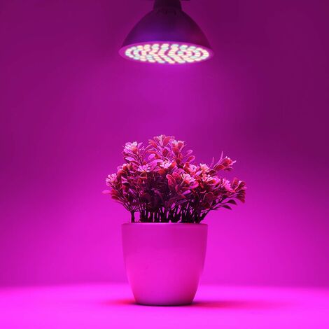 Luce per crescita piante 5W