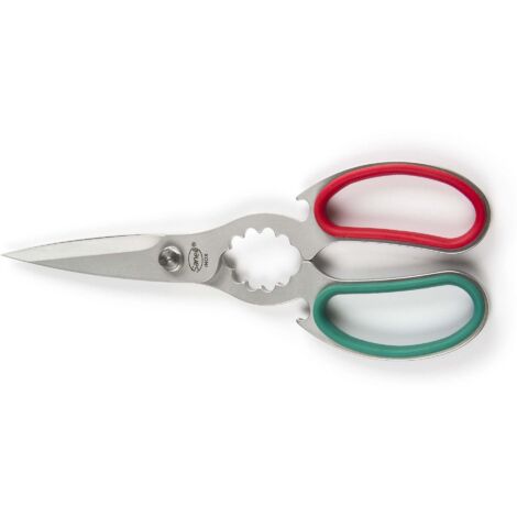Forbice da Cucina Professionale 21 cm in Acciaio Inox Sanelli Premana (1/2)
