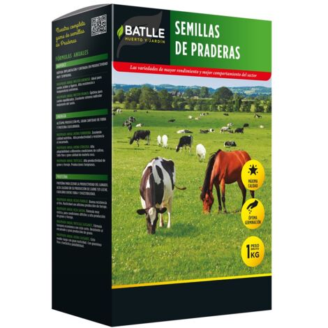 Semillas Batlle 043770K1 R.G. Wester Vallivert, 15x8.5x3 cm