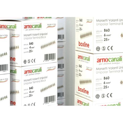Arnocanali - 100 Morsetti unipolari in stecche da 10 poli , 6 mmq