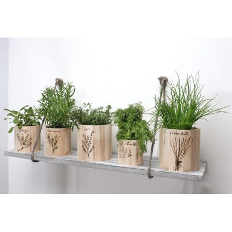 KADAX Vaso da fiori in plastica, diametro 11-21 cm, 5 colori, vaso