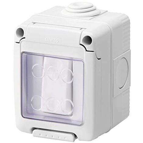 Gewiss Contenitore Completo Apparecchi System Stagno, con Deviatore Unipolare 16Ax, IP55, Grigio Ral 7035