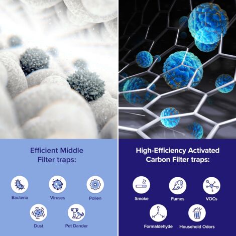 Filtro HEPA DeLonghi HEPA E Carboni Attivi Per Depuratore D'Aria DeLonghi - Misura Extra-Large Filtro Ricambio