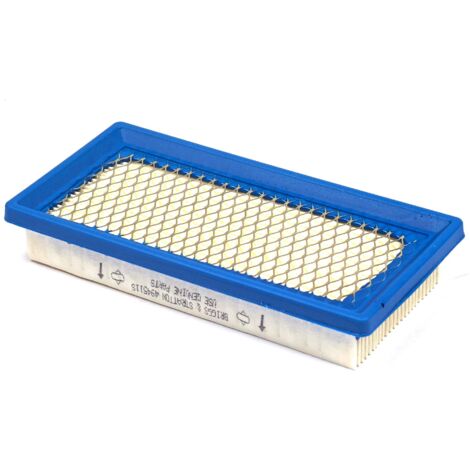 Filtro Aria Cartuccia Briggs & Stratton 797007 - Ricambio Originale Per Motori Serie 3 Tosaerba