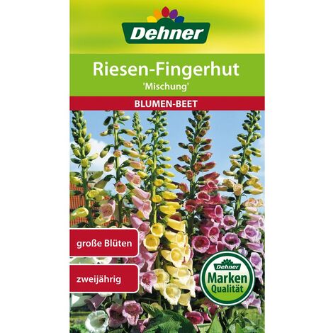 Semillas De Flores Dehner - Planta Anual, Flor Que Se Abre Por La Mañana Y Noche, Para Jardín
