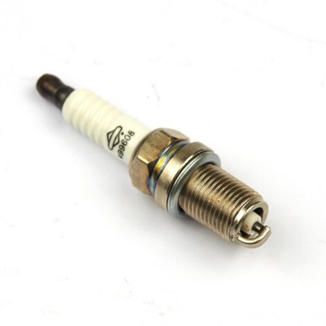 Briggs & Stratton Candela Originale 692051 (1/3)