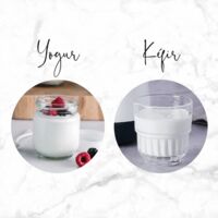 Yogurtiera Lacor HerA 1L Supersilenziosa - Timer 48h, Schermo LED, Per Yogurt, Kefir E Formaggio Fresco - Foto 6