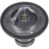 BP ADC49206 Termostato,