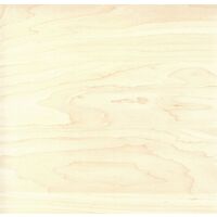 Venilia Pellicola adesiva, Acero aspetto legno bianco, 45cm x 3m, Spessore  95μ, Pellicola autoadesiva per mobili