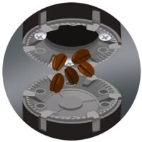 Braun KG7070 Macinacaff&egrave; Professionale - 15 Livelli Macinatura, Contenitore 220gr