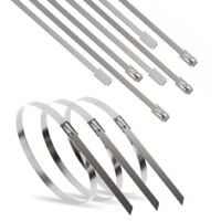 Fascette ERKO in acciaio inox 300 x 4,6 mm 100 pz. Fascette professionali multiuso in acciaio inox, resistenti ai raggi UV, resistenza alla trazione fino a 190 kg.